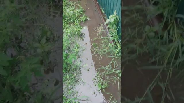 Народ тонет а нам чиновникам похерпростые люди смотреть онлайн