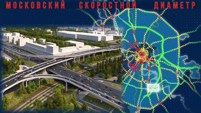 МСД 1