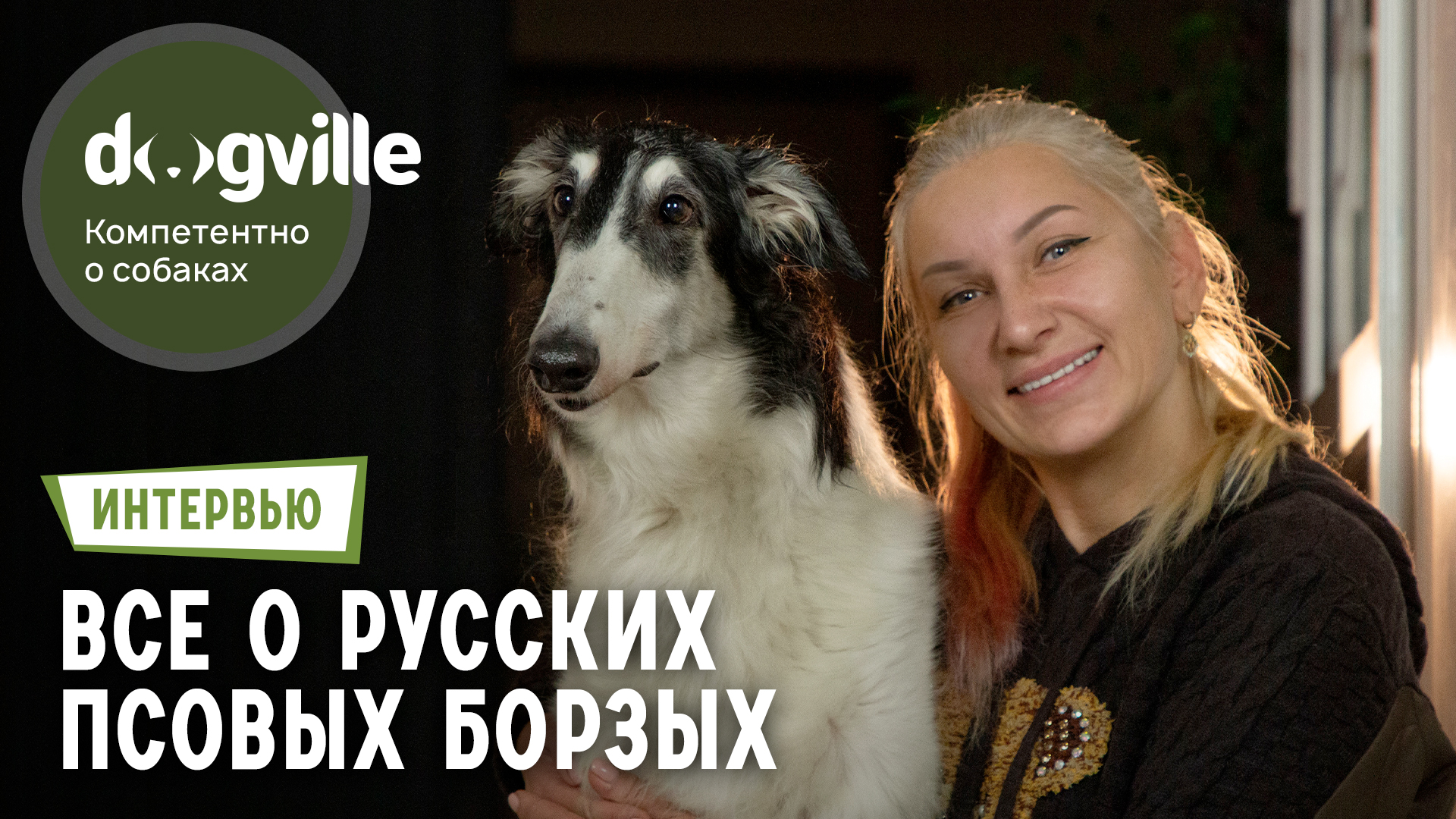 Русские псовые борзые – все, что вы хотели знать – Питомник «Барская прихоть»