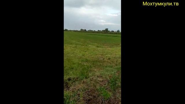 МИНИ ТРАКТОР ИЗ ЖИГУЛИ Шовот Мохтумкулидо заказ булса оломиз#самодельный минитрактор из мотоблока