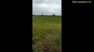 МИНИ ТРАКТОР ИЗ ЖИГУЛИ Шовот Мохтумкулидо заказ булса оломиз#самодельный минитрактор из мотоблока