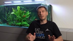 Минимальный объём аквариума