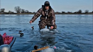 Наловили ЗИМНЕЙ ГУСТЕРЫ. Не успевали вытаскивать. Рыбалка в Астрахани.
