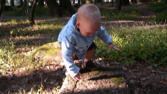 Ballet des champs-elysees Flute de pan 精霊の踊りSusumu Otsuka смотреть онлайн
