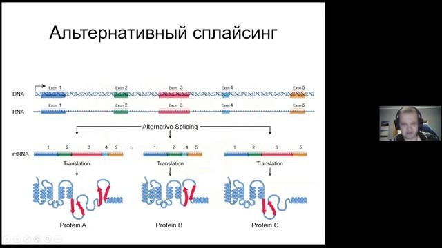 Цитология и молекулярная биология клетки