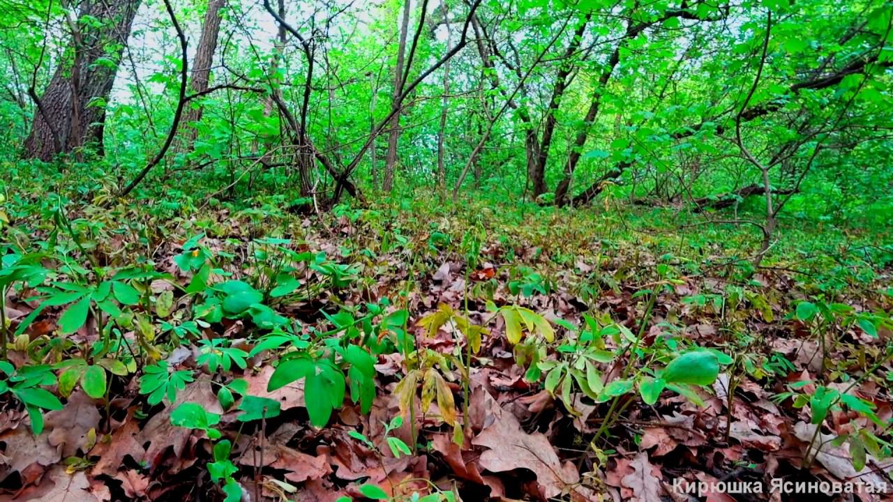 Прощай лето