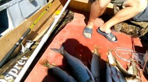 Рыбалка р. Енотаевка сентябрь 2018-3