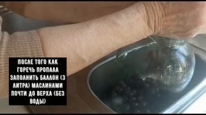 Как солить и мариновать черные маслины в домашних условиях