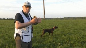 7. НАТАСКА ЛЕГАВЫХ / ПОДВОДКА