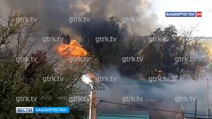 Под Уфой загорелись постройки на базе отдыха “Лукоморье”