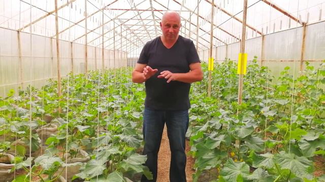 ЗА РАЗ ИЗБАВИТЕСЬ ОТ ВСЕХ ВРЕДИТЕЛЕЙ!2.0 смотреть онлайн