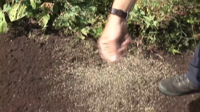 How To Plant Lawn Seed смотреть онлайн