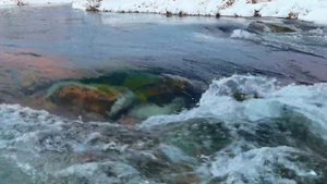 Где начинается тайга, начинается свобода. Сибирская зима в Иркутской области.