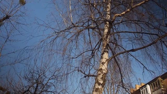 Panasonic Lumix gh3, 2022 cinematic смотреть онлайн