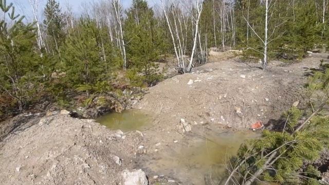 Что происходит в Житомирском лесу\дикая добыча топаза\ поиск драгоценных камней\ смотреть онлайн