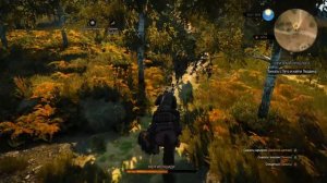 Witcher 3 Где найти квест  Лето из Гулеты В деревне  "Залипье"