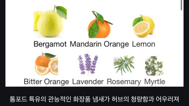 톰포드 여름향수 4종 추천(feat 딥디크,메종마르지엘라)?? смотреть онлайн