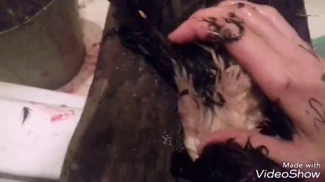 Как ощипать утку смотреть онлайн