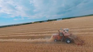 Уборка хлеба 2022. Комбайн НИВА СК-5