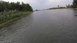 Рыбалка река Чарыш