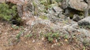 Север Байкала: бухта Аяя, мыс Лаканда, озеро Фролиха, курорт Хакусы. 15/25.08.2023 г.