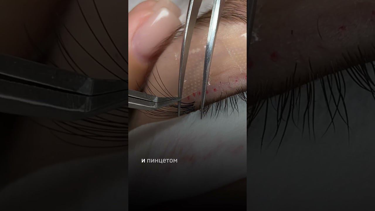 Густые ресницы за 2 часа #обучениересницы #lashes #ресницыобучение #ресницы #lashextensions