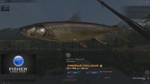 Fisher Online / трофейный голец серый, рекорд водоема, Швейцария: Альпы