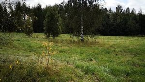 Motoland 200 WILD TRACK LUX