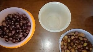 Маслины или оливки / Как засолить и приготовить к употреблению / Греческая кухня / Просто и вкусно