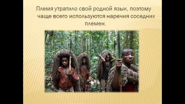 Пигмеи