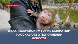 Как живут новорождённые малыши обезьян в Бахчисарайском парке миниатюр?