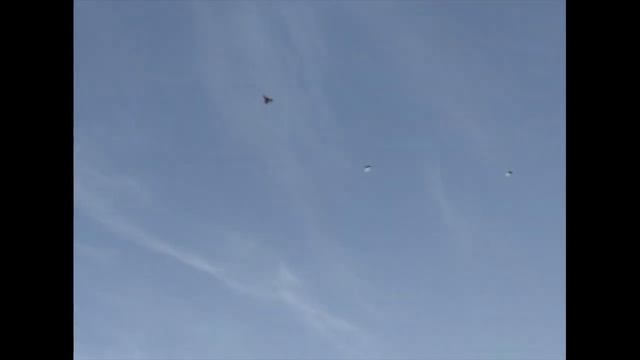 ?Как ухаживать за голубями зимой?/чем пропаивать в холодное время года?/?чем подкармливать молодёжь
