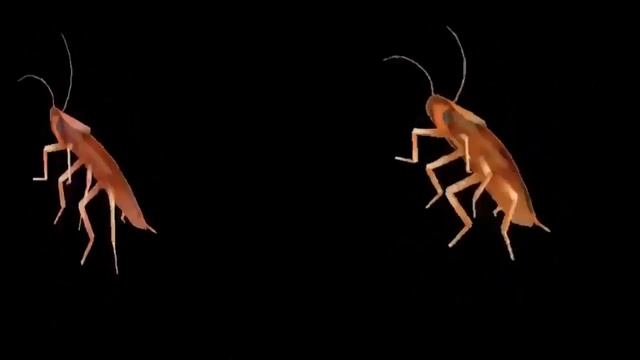 Таракан Сергей и его брат таракан Дима люто флексят под татарстан супер гуд смотреть онлайн