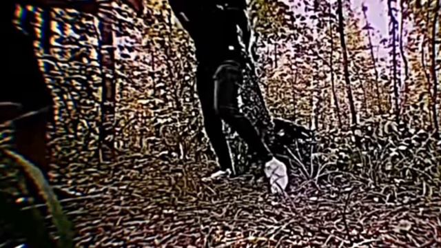 ‼️СКОЛЬКО ВСЕГО ПРОИЗОШЛО БЕЗ ЕГО УЧАСТИЕ 😈🔪‼️/ЛУЧШИЕ САБЫ ❤️🥰🔥@max.vashchenko ♠️😎. смотреть онлайн