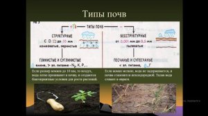 Почвы, строение и структура