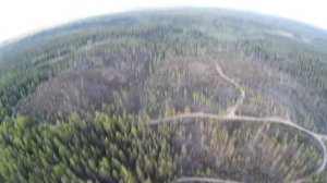 Онега и окрестности с высоты