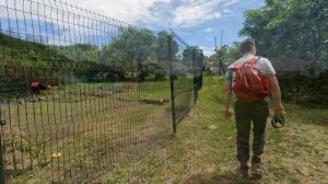 На остров Рейнеке (Владивосток, Приморский край) июнь 2022