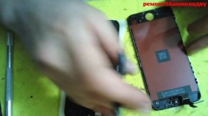 Iphone 5c замена модуля экрана,кнопки Home,динамика(screen replacement module,buttons, speaker)