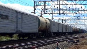 Электровоз ВЛ10-479 из Волховстроя с небольшим грузовым поездом, станция Поварово 1