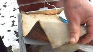 коровье молоко в качестве белка для пчёл.