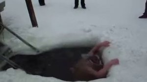 у дядьки в проруби трусы слетели