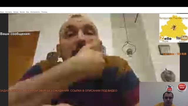Пчеловодство Германии Imker DE. Заводчик пчелы бакфаст и карника из Германии