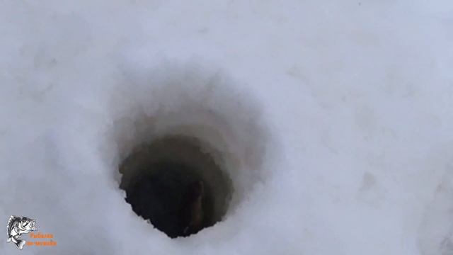 САМАЯ ЛУЧШАЯ рыбалка в этом сезоне/ Рыбалка на Хариуса  2020