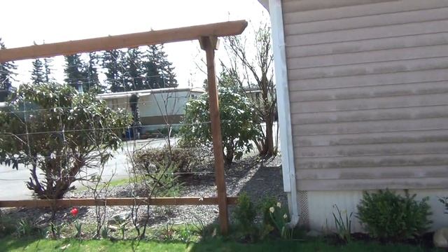 птах зловили у хаті смотреть онлайн