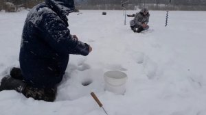 Озеро КЩАРА. Рыбалка. Зима. Щука на жерлицы. Окунь, плотва.