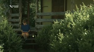 Спутниковый интернет Триколор