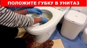 Если положить ГУБКУ в унитаз, то свежий аромат и чистота гарантированы