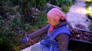 Мульчирование корой сада. Наш опыт и работа над ошибками.