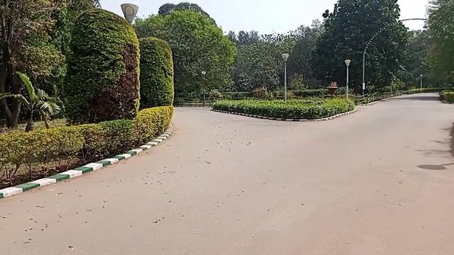 My first vlog video ♥️ My vlog video ♥️