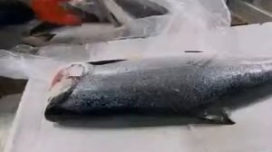 Как делают  свежую рыбу для суши